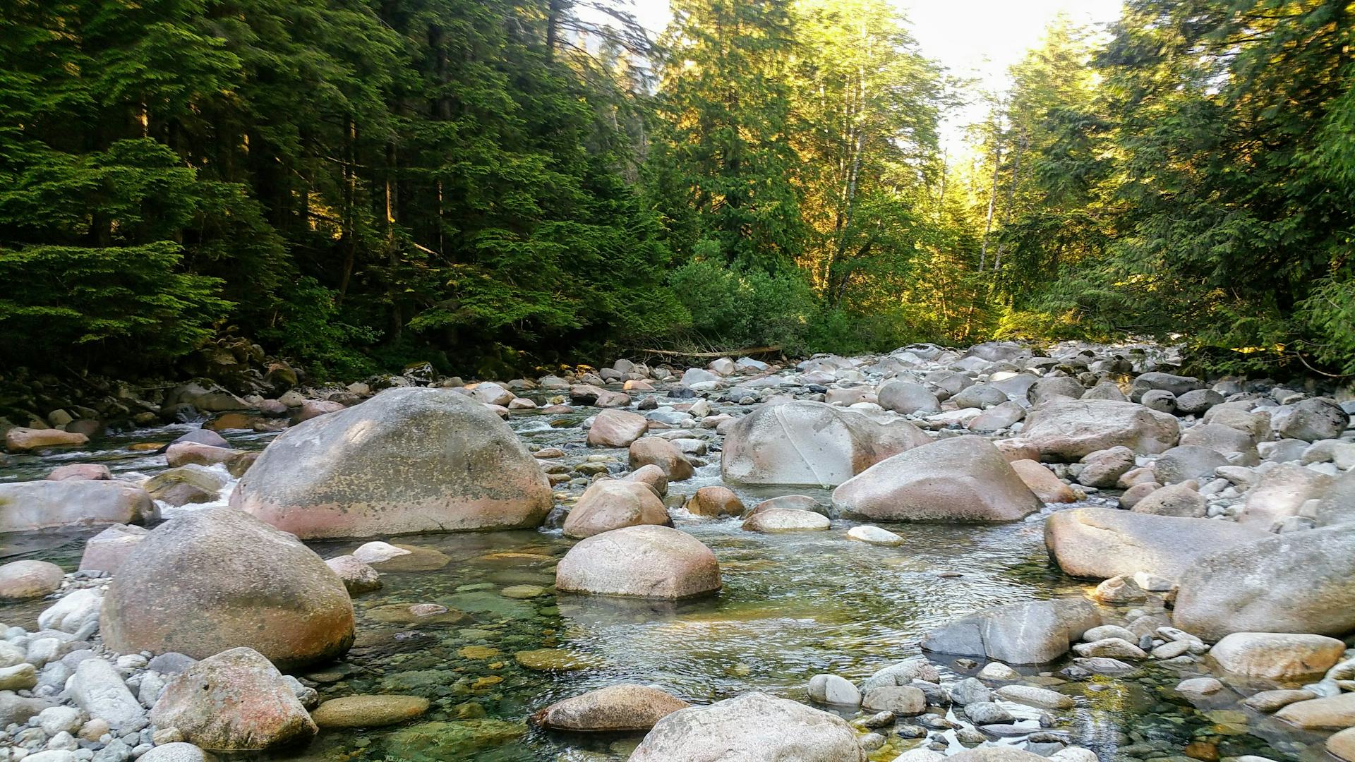 Lynn Creek flowing over boulders through the forest at Lynn Headwaters Regional Park in North Vancouver, BC